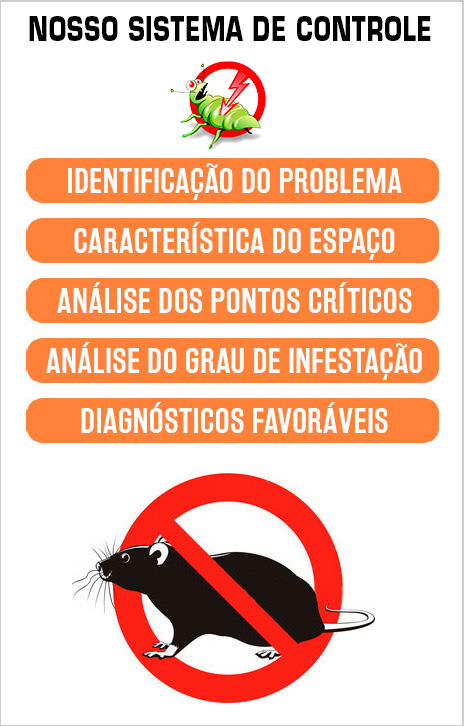 Desratizadora na Zona Leste SP desratizadora-na-zona-leste-sp