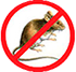 Controle de roedores controle-de-roedores-ratos