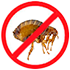 Dedetizacao de pulgas