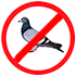 Controle de pombos controle-de-pombos
